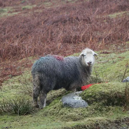Σπίτι διακοπών Park Beck Windermere